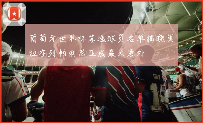 葡萄牙世界杯落选球员名单揭晓莫拉在列帕利尼亚成最大意外