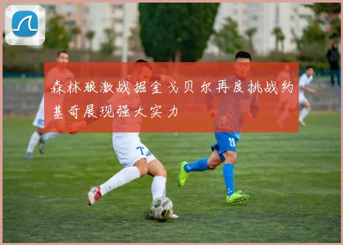 森林狼激战掘金戈贝尔再度挑战约基奇展现强大实力